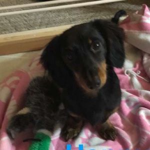 Meet your Posher, Meredith